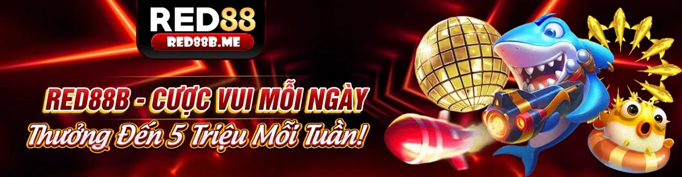 Hình ảnh chính các ưu đãi hấp dẫn của Star8800